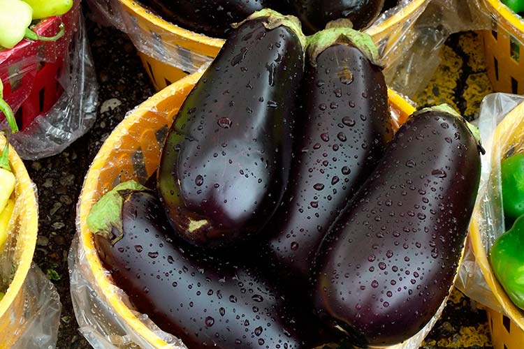 eggplant.jpg