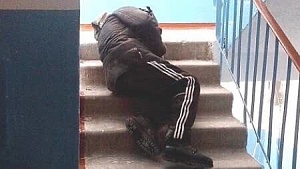 ВОЛОДИ, САШИ, ВАНИ...