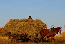  Притча о работниках