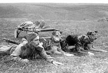 РАССКАЗ СОЛДАТА...