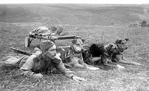 РАССКАЗ СОЛДАТА...