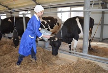 Грант  фермеру из Коми