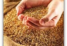 Притча о цели и глубоком смысле