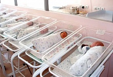 В Коми с помощью ЭКО в минувшем году появилось на свет 285 детей 