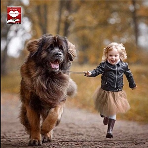 Дюймовочка