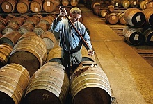 Выгода от Brexit