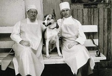 ГЛАВНЫЙ АКТЁР