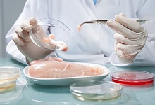 В Коми проверят на безопасность пищевые продукты