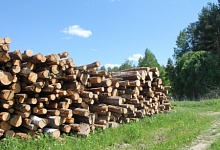 Проблемы лесного бизнеса Коми