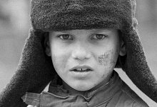 Три полена
