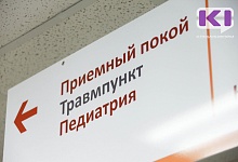 В Сыктывкаре на ребенка упало дерево 